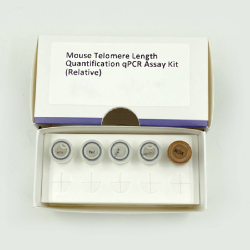MSE PRO Mouse Telomere Length Quantification qPCR Assay Kit(Relative)