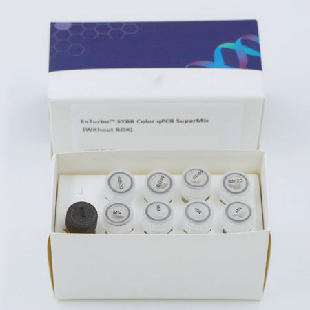 MSE PRO EnTurbo SYBR Color qPCR SuperMix (Without ROX)
