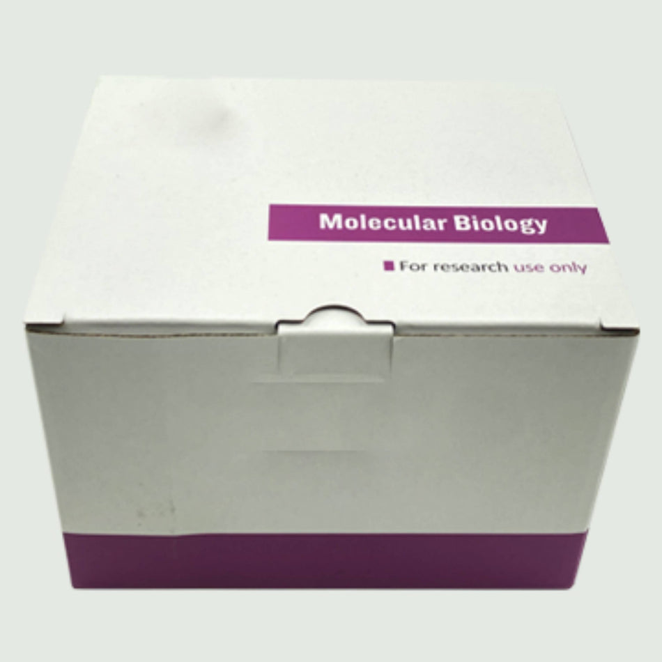 MSE PRO FFPE DNA Extraction Kit