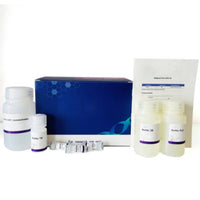 MSE PRO Magbead Plant DNA Kit