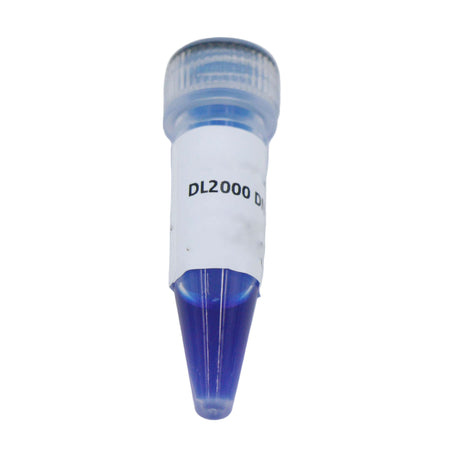 MSE PRO DL2000 DNA Marker 100bp-2000bp