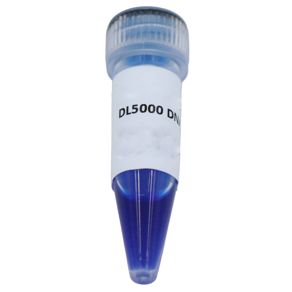 MSE PRO DL5000 DNA Marker 100bp-5000bp