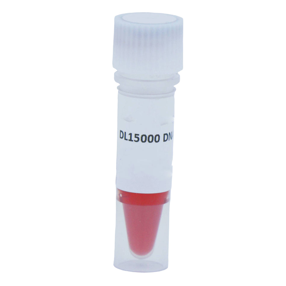 MSE PRO DL15000 DNA Marker  250bp-15000bp