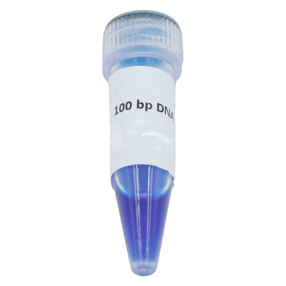 MSE PRO 100 bp DNA Ladder 100bp-3000bp