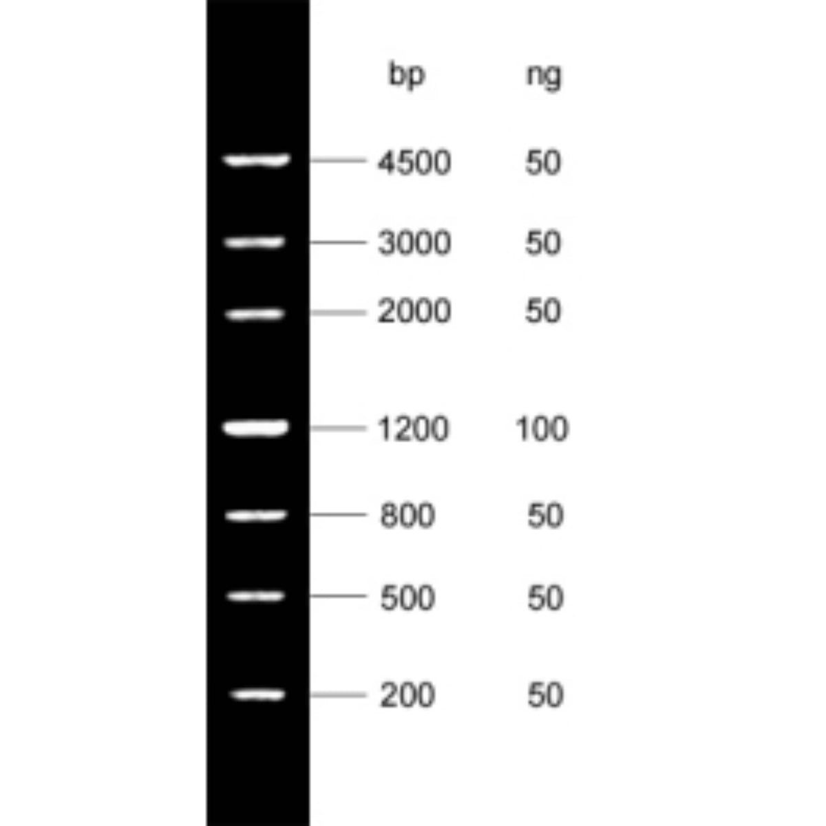 MSE PRO DNA Marker IV 200bp-4500bp