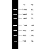 MSE PRO DNA Marker IV 200bp-4500bp