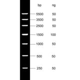 MSE PRO DNA Marker V  250bp-5500bp