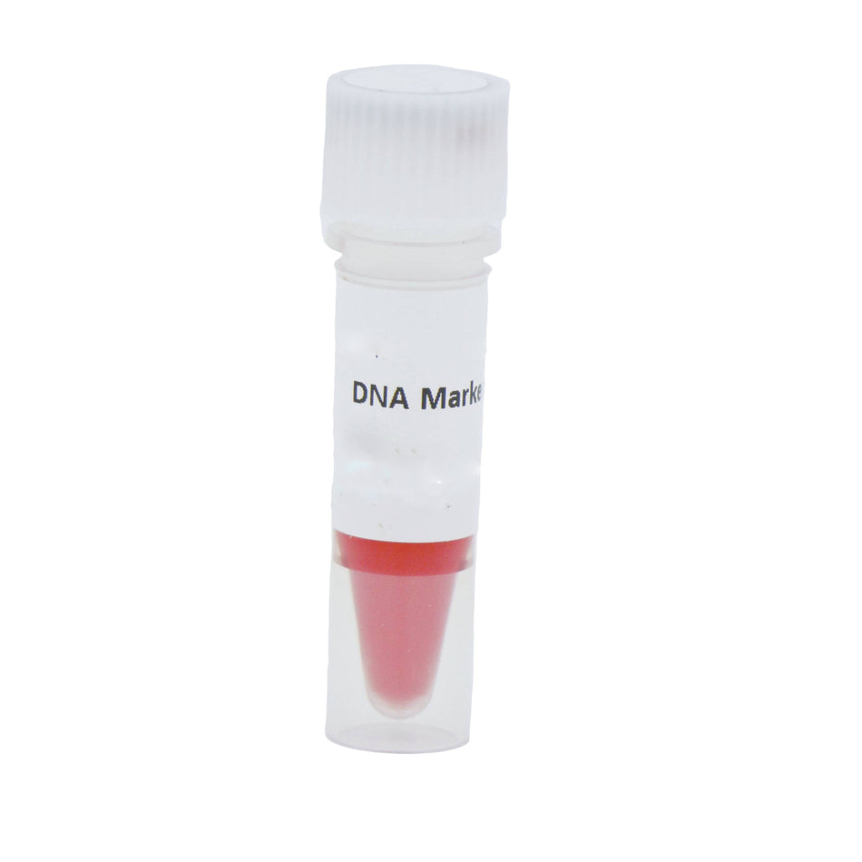 MSE PRO DNA Marker I 100bp-600bp