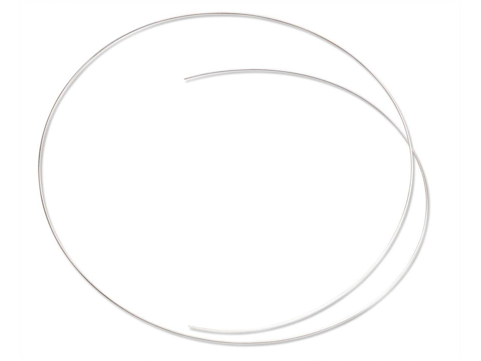 BASi Silver Wire - 0.5 mm Diameter - 12 In. (30 cm) Length, Electrochemical Products, BASi, MSE Supplies