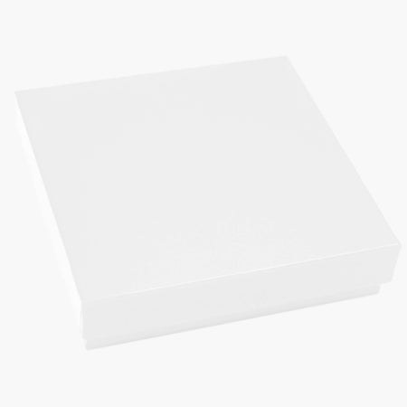Maxxline® Cardboard Cryogenic Box Without Divider With Dimension 133 x 133 x32 mm(36 Pcs)