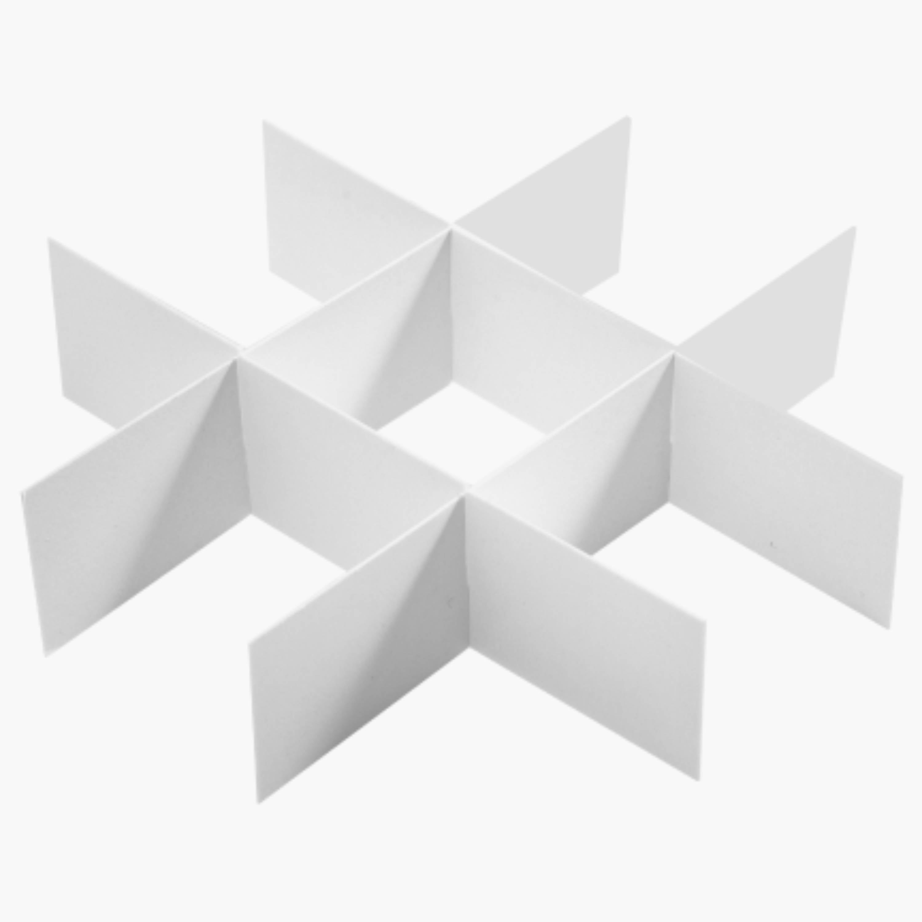 AHN Maxxline® Dividers for 75 mm Boxes with 40 mm Height for Cardboard Cryogenic Box (36 Pcs)