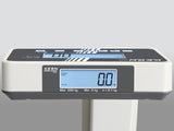 Kern Personal Floor Scale MPE 250K100PM, Balances and Scales, Kern, MSE Supplies