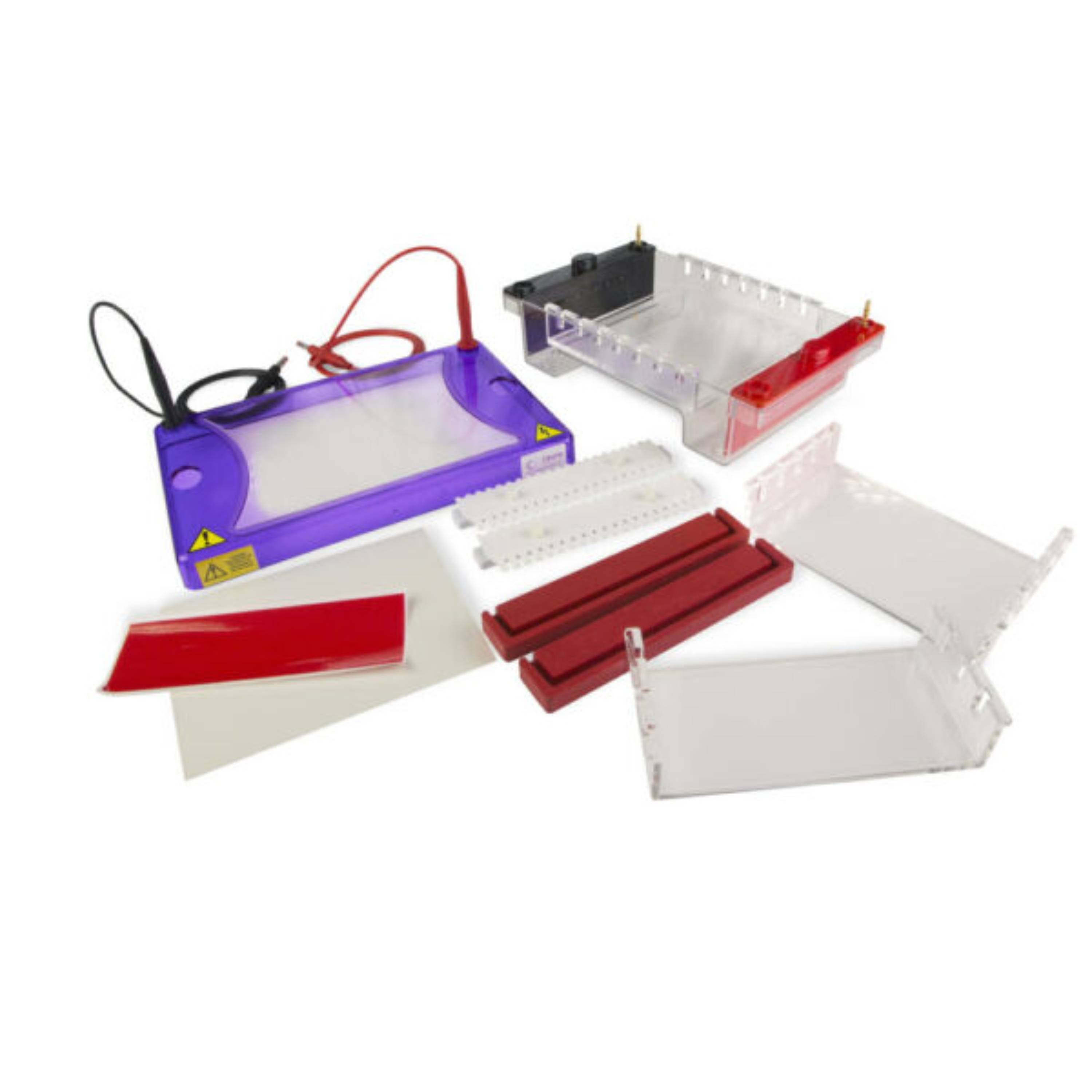 Cleaver Scientific multiSUB Choice Gel Electrophoresis System
