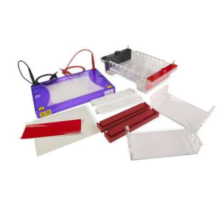 Cleaver Scientific multiSUB Choice Gel Electrophoresis System