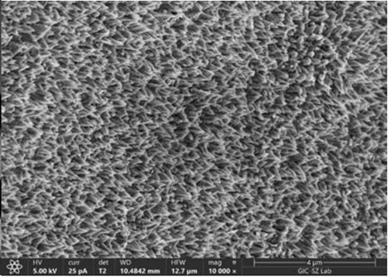 MSE PRO Gas Evolution Electrode, 200mm X 200mm - Battery Consumables - MSE Supplies LLC - MSE Supplies
