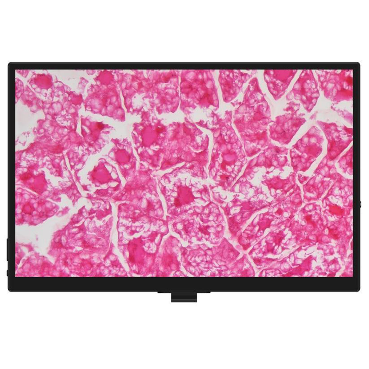 MSE PRO LCD All-in-One Camera System - LIFE SCIENCE EQUIPMENT - MSE Supplies LLC - MSE Supplies
