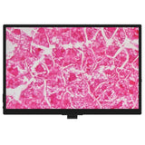 MSE PRO LCD All-in-One Camera System - LIFE SCIENCE EQUIPMENT - MSE Supplies LLC - MSE Supplies