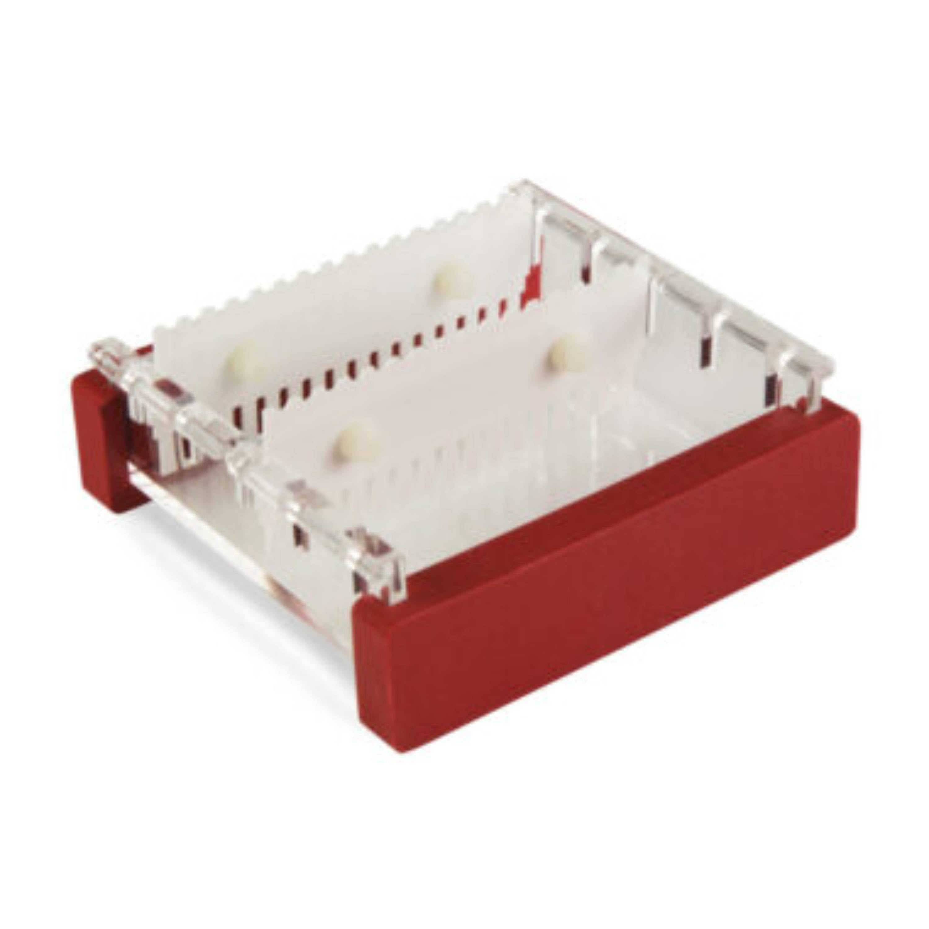 Cleaver Scientific multiSUB Midi Gel Electrophoresis System