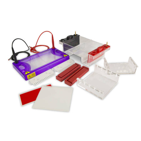 Cleaver Scientific multiSUB Midi Gel Electrophoresis System