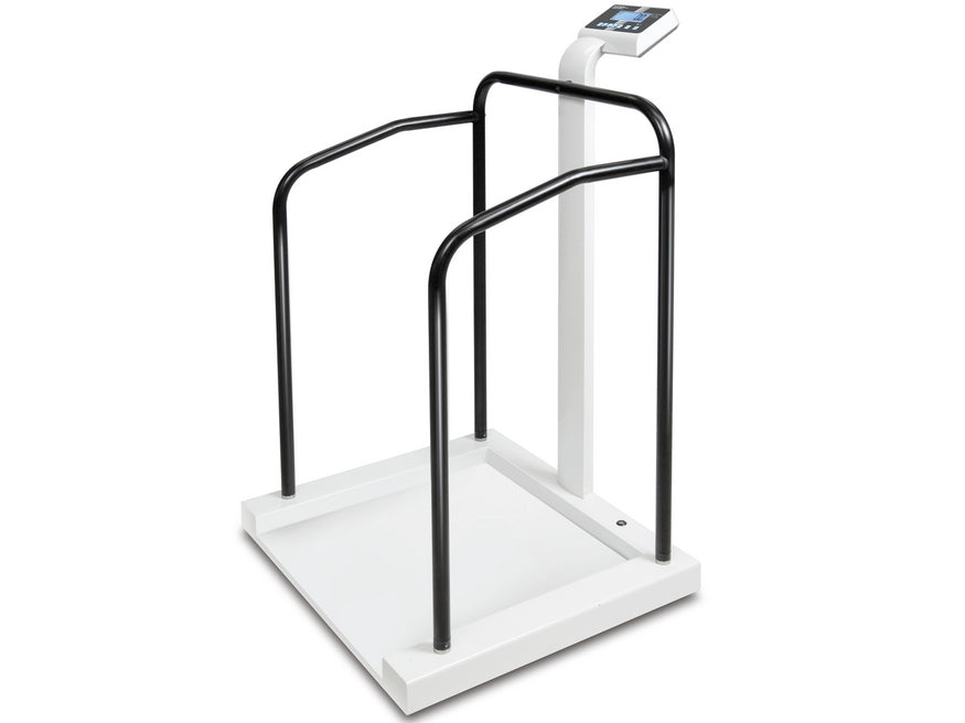 Kern Standing Aid Scale MTA 400K-1M, Balances and Scales, Kern, MSE Supplies
