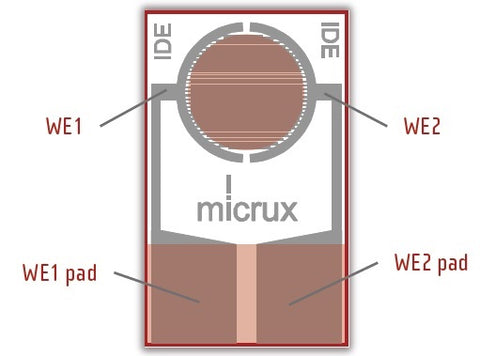 BASi Thin Film Interdigitated electrode – Gold (50/PK), Electrochemical Products, BASi, MSE Supplies