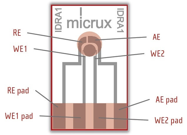 BASi Thin Film Interdigitated Ring Array electrodes – Gold (50/PK), Electrochemical Products, BASi, MSE Supplies