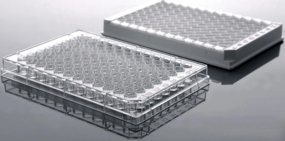 NEST Microplates/ELISA Plates, Bio Lab Consumables, NEST Scientific, MSE Supplies