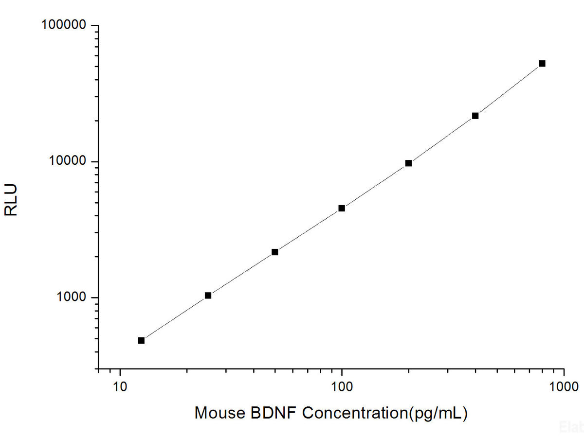 Mouse BDNF (Brain Derived Neurotrophic Factor) CLIA Kit, Cell Assays, Elabscience Biotechnology, MSE Supplies
