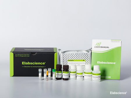 Mouse S100A10 (S100 Calcium-Binding Protein A10) CLIA Kit, Cell Assays, Elabscience Biotechnology, MSE Supplies