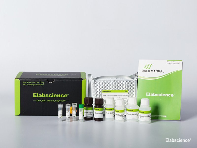 Mouse TBG (Thyroxine Binding Globulin) CLIA Kit, Cell Assays, Elabscience Biotechnology, MSE Supplies