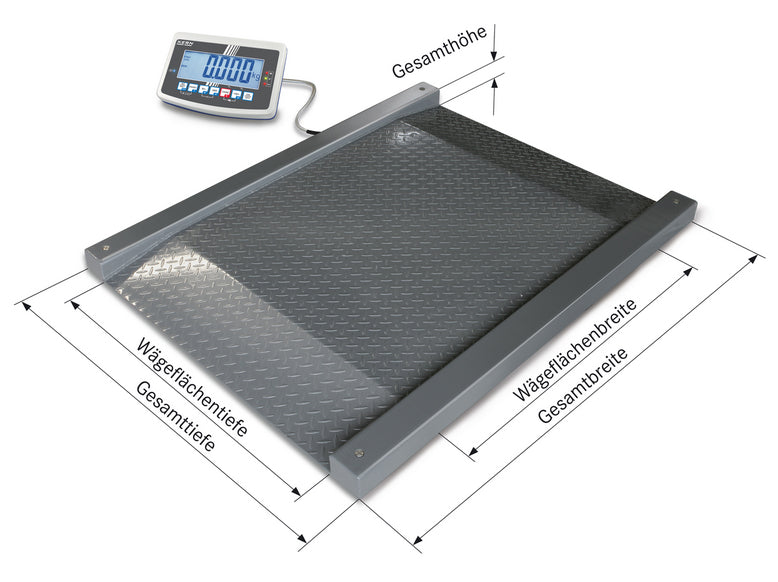 Kern Drive-Through Scale NFB 600K200M, Balances and Scales, Kern, MSE Supplies