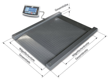Kern Drive-Through Scale NFB 600K200M, Balances and Scales, Kern, MSE Supplies