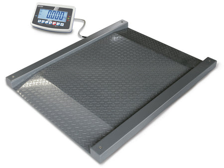 Kern Drive-Through Scale NFB 600K200M, Balances and Scales, Kern, MSE Supplies