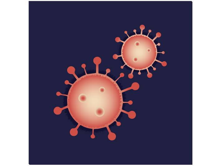IBT Bioservices Ebola Virus Like Particles (Ha-EBOV) Sudan (Genebank: YP_138523.1), Biomolecules and Materials, IBT Bioservices, MSE Supplies