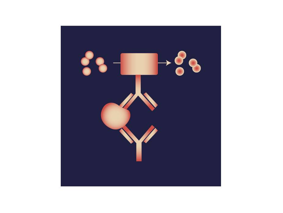 IBT Bioservices Ebola Virus Soluble GP (SGP) Elisa KIT, Reagents, IBT Bioservices, MSE Supplies
