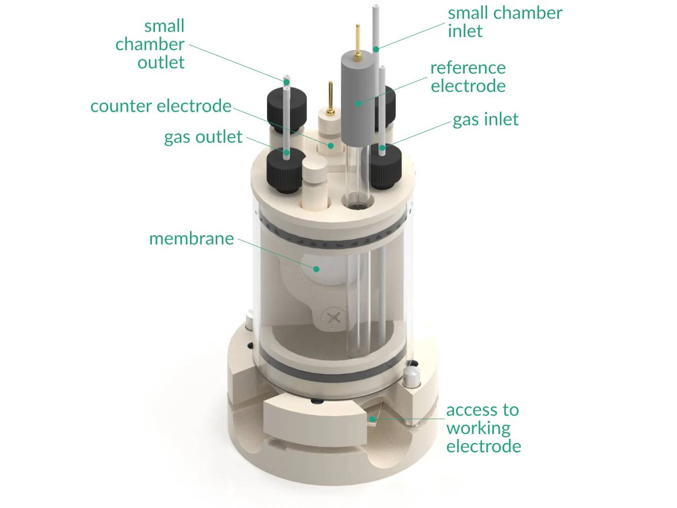 Bottom Mount Electrochemical H-Cell 50 Ml, Electrochemical Products, Redox.me, MSE Supplies
