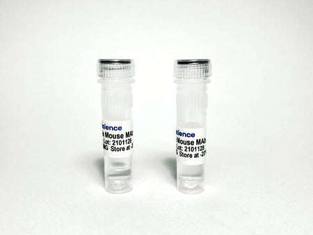 Tribioscience Anti-human Epidermal Growth Factor Receptor (EGFR) Antibody (TBS10112)