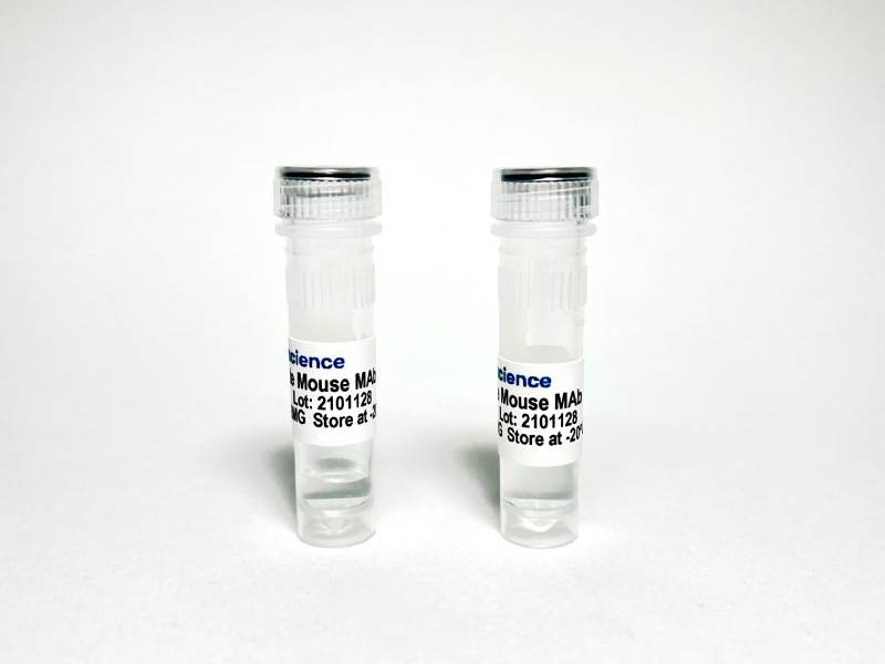 Tribioscience Anti-human Epidermal Growth Factor Receptor (EGFR) Antibody (TBS10112)