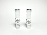 Tribioscience Anti-human Epidermal Growth Factor Receptor (EGFR) Antibody (TBS10112)