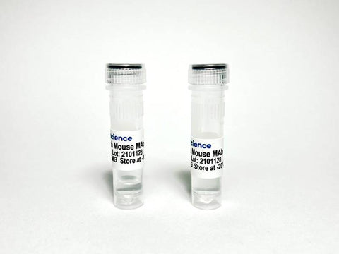 Tribioscience Anti-human Epidermal Growth Factor Receptor (EGFR) Antibody (TBS10112)