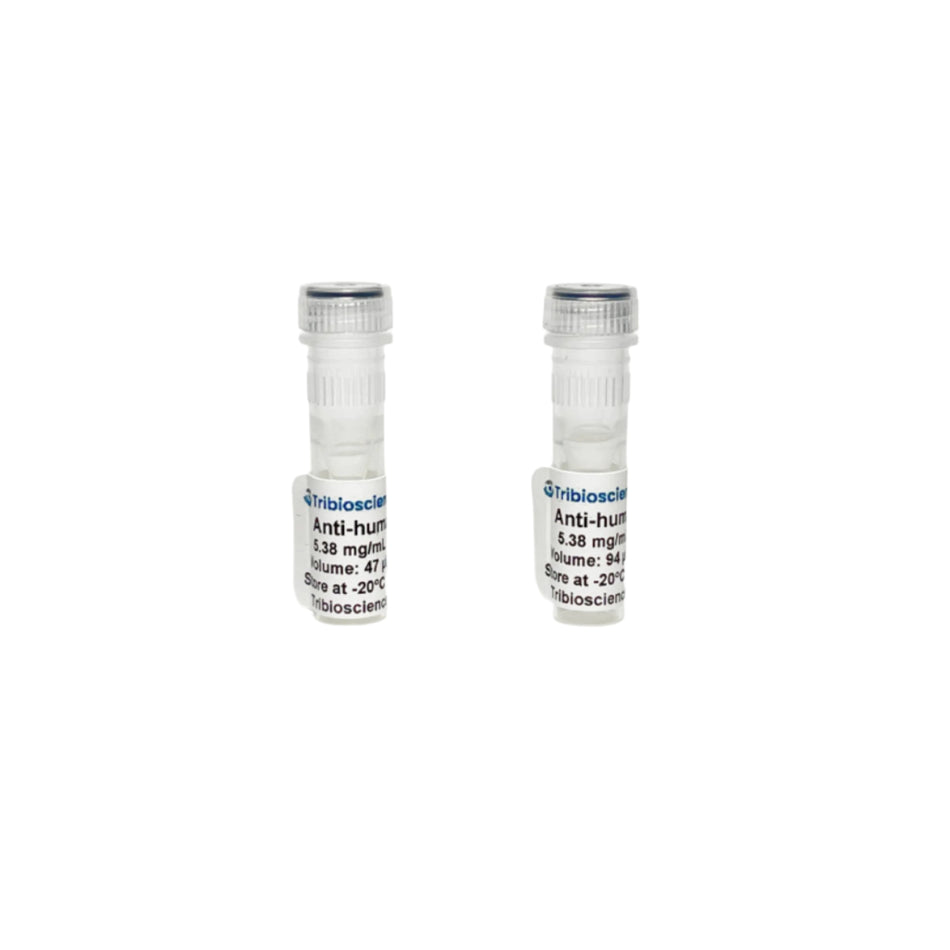 Tribioscience Monoclonal Anti-human IgE Antibody (TBS10127)