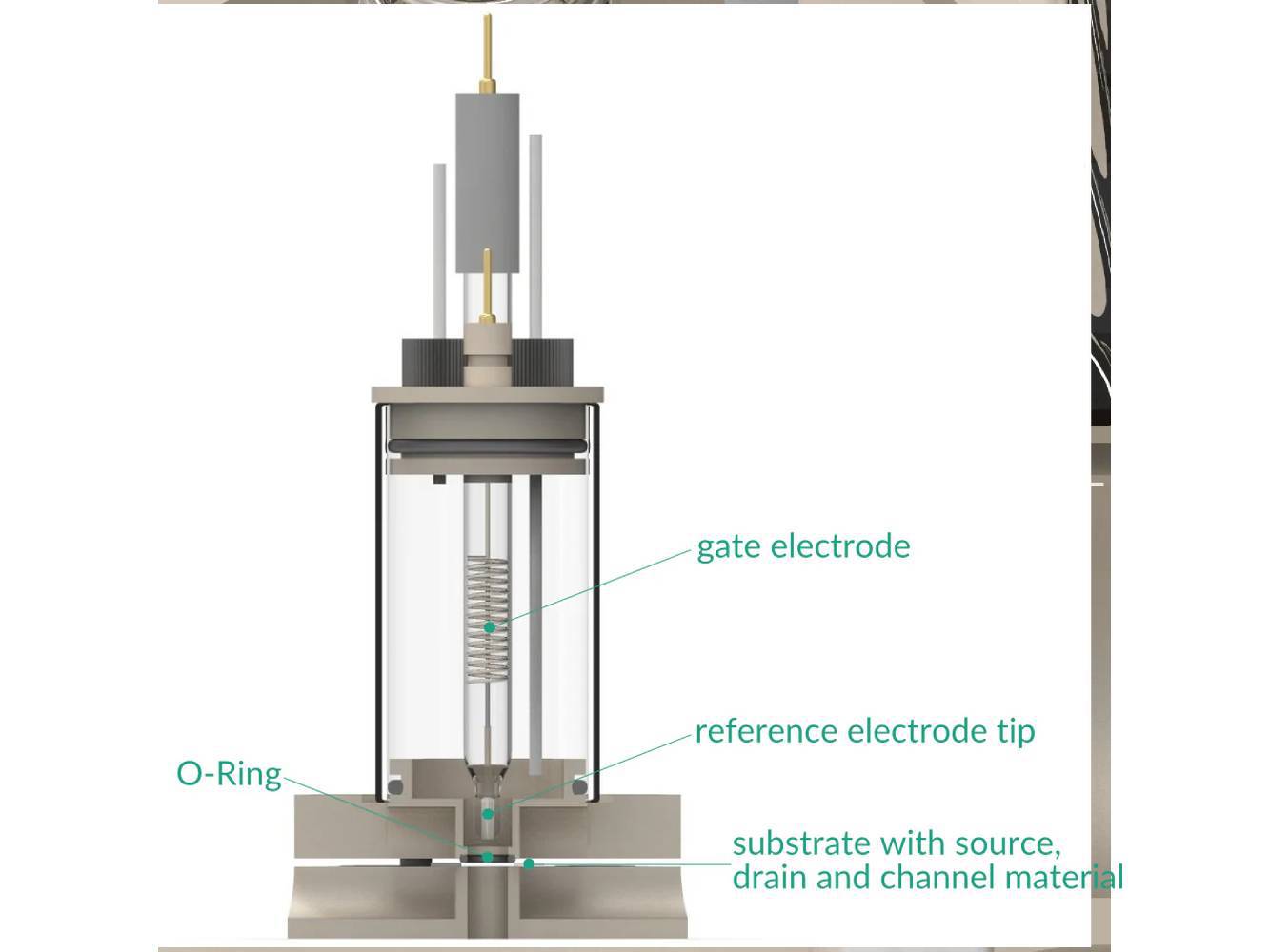 Electrolyte-Gated Transistor Bottom Mount Cell Setup, Electrochemical Products, Redox.me, MSE Supplies