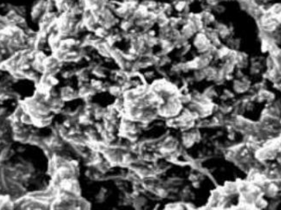 MSE PRO Nickel (Ni) Coated Multi-Walled Carbon Nanotubes, 30g, Nano Materials, MSE Supplies LLC, MSE Supplies