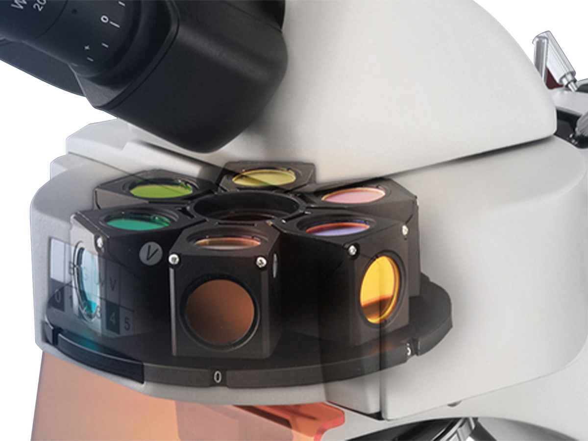 Kern Compound Microscope OBN 147, Histology Equipment, Kern, MSE Supplies