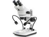 Kern Stereo Zoom Microscope OZL 473, Histology Equipment, Kern, MSE Supplies