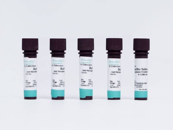 Anti-Nanobacteria Treatment Reagent (200×)
