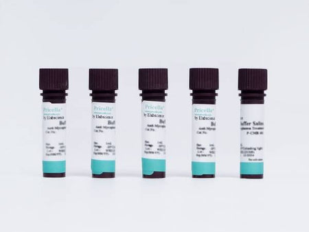 Anti-Nanobacteria Treatment Reagent (200×)
