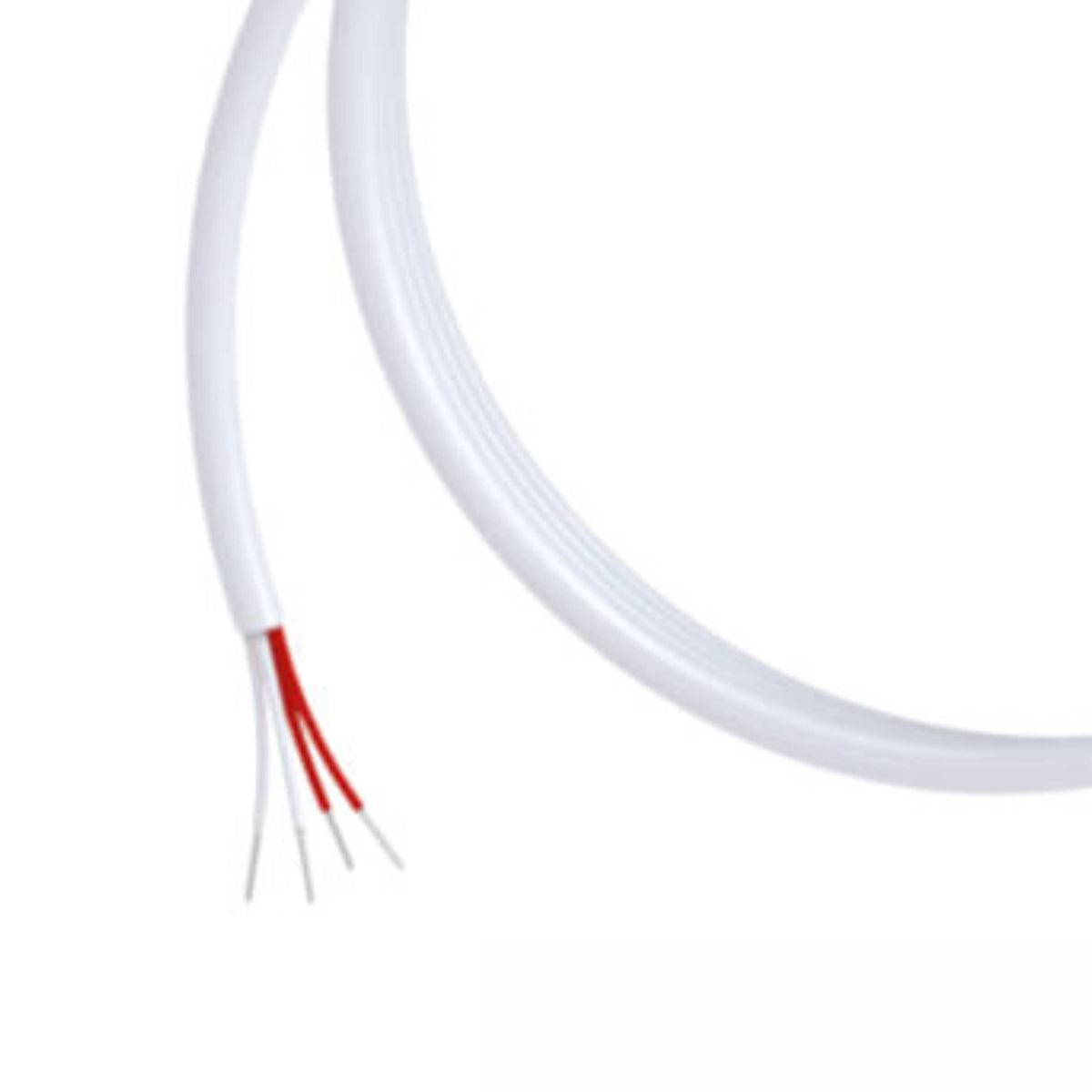 BOLA Temperature Probes (PT 100) (PTFE/PFA ) - Ø 8 mm, L 660 mm