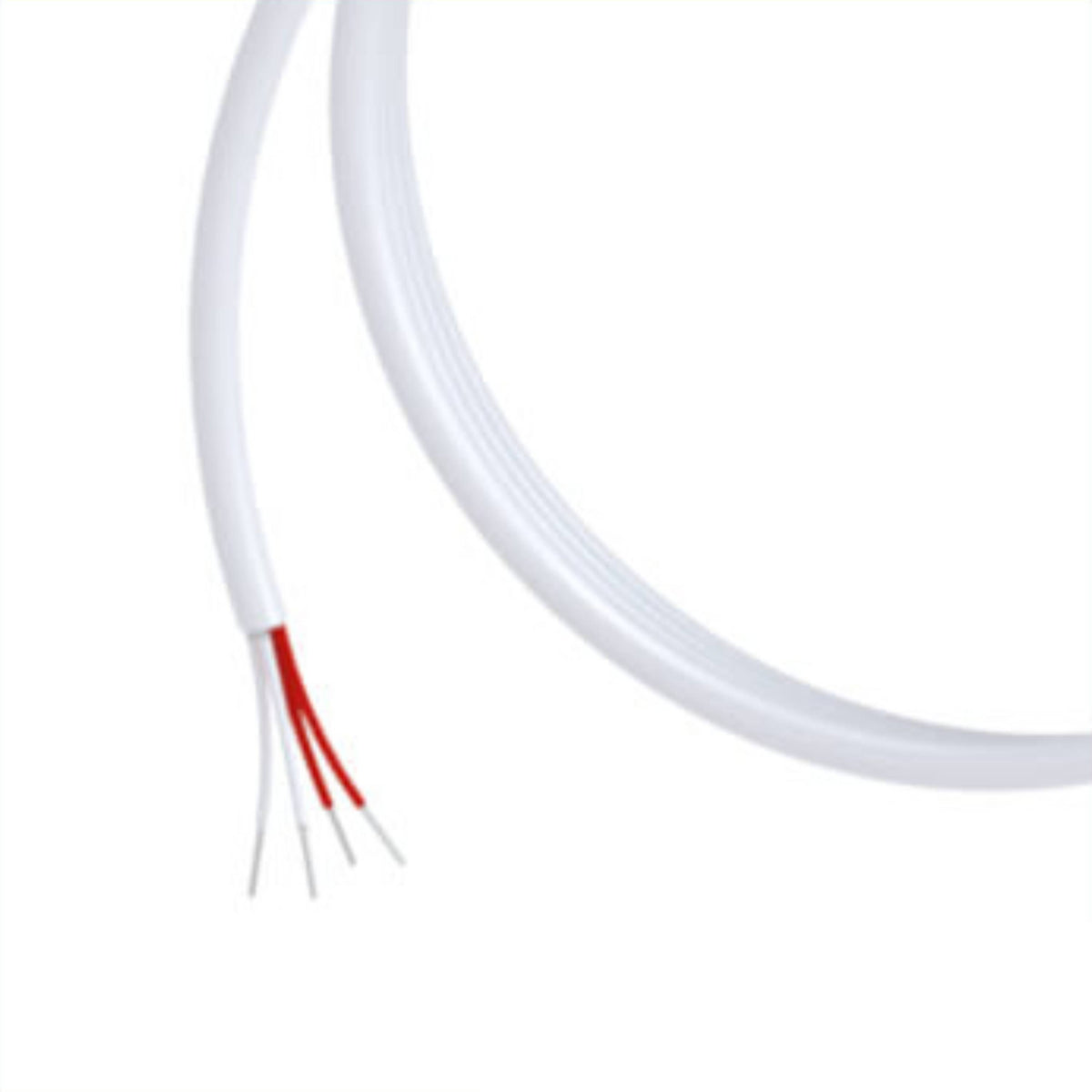 BOLA Total Immersion Probes (PT 100) (PTFE/PFA ) - L 50 mm, Ø 4 mm