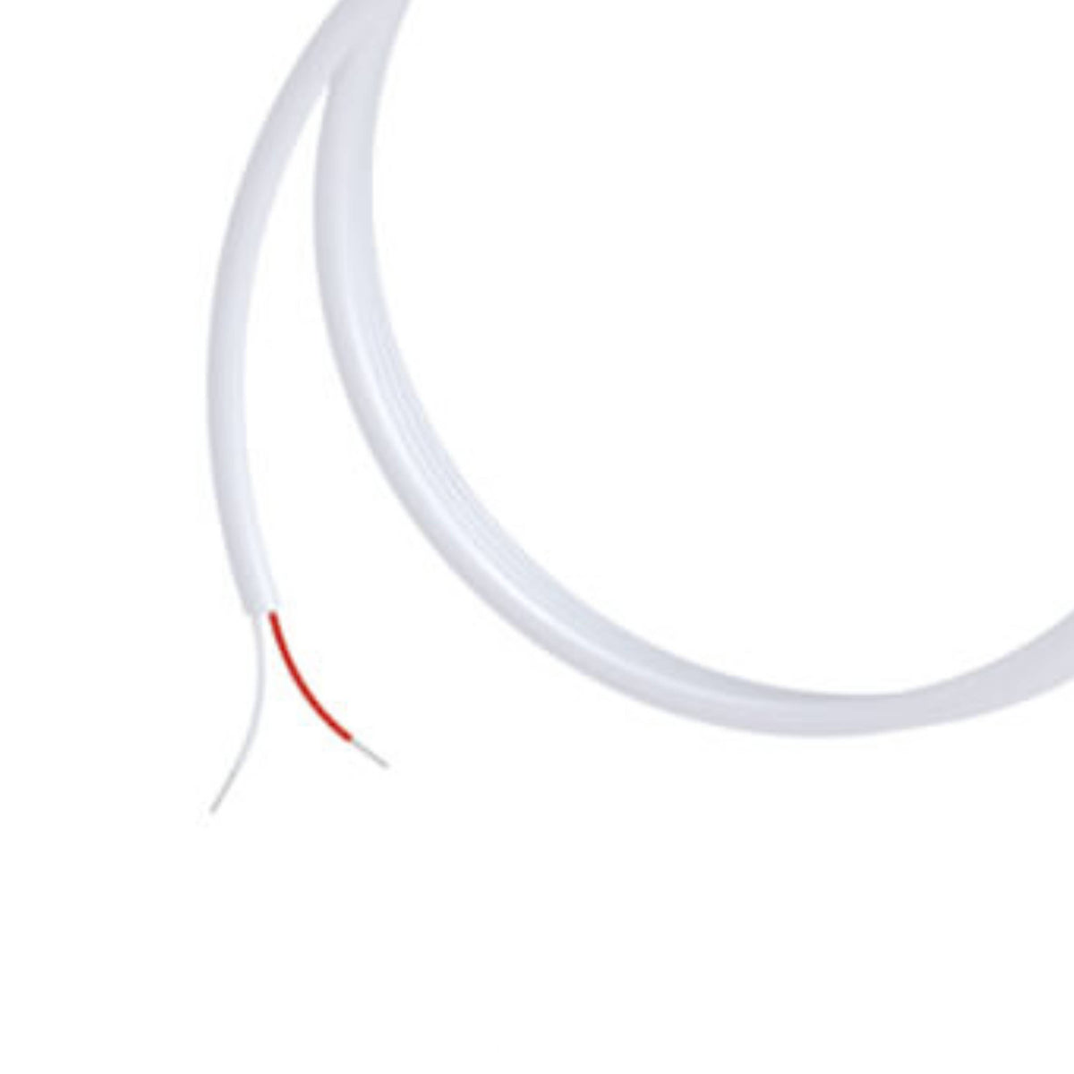 BOLA Total Immersion Probes PT 1000 (PTFE ) - L 50 mm, Ø 4 mm